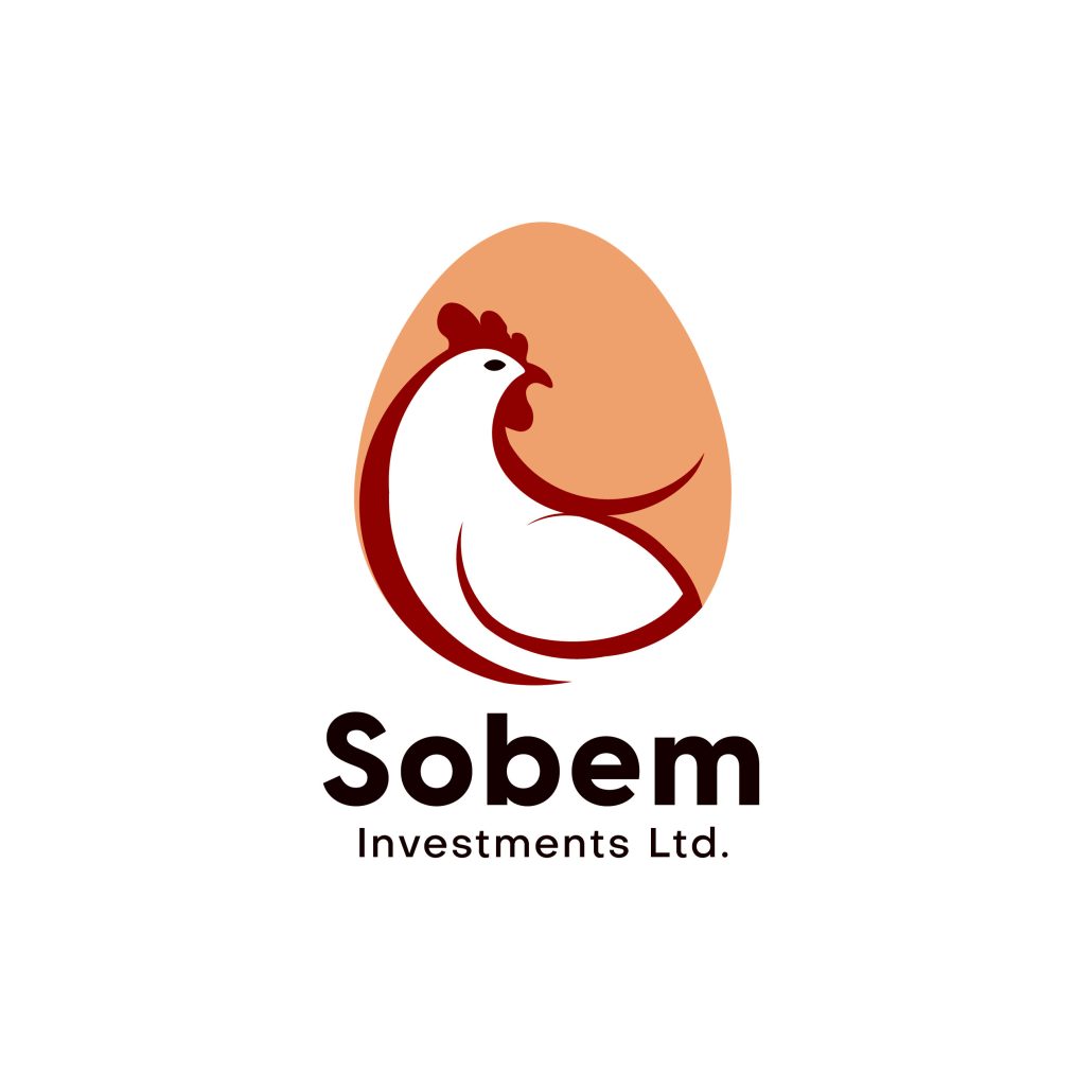 Sobem Investmets Limited logo 01 Nymy Media